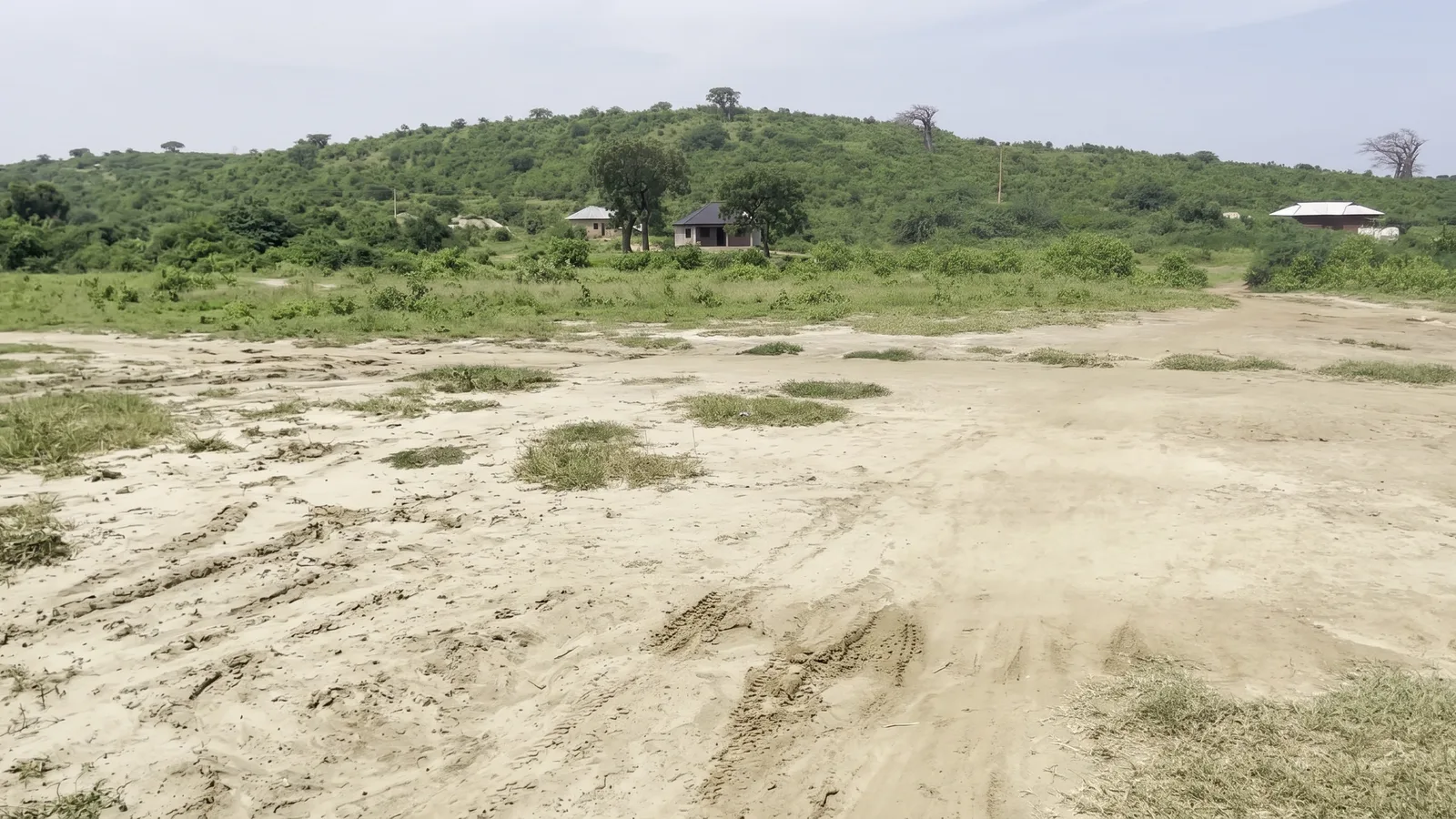 Wide view of open plots with pale sandy ground and low coastal vegetation at Mambrui 234 near Sabaki
